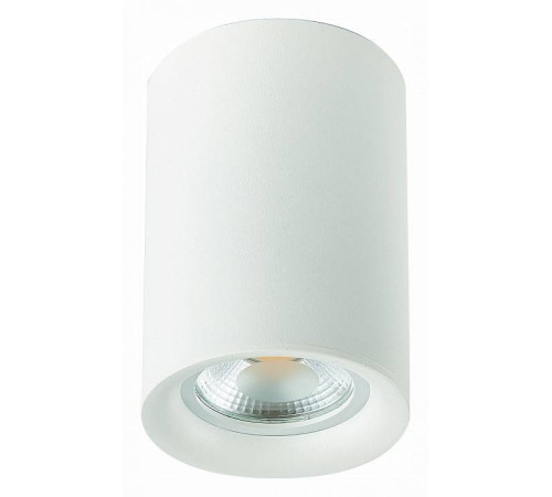 Накладной светильник ST-Luce ST114 ST114.507.01