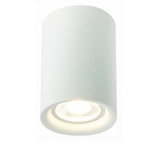 Накладной светильник ST-Luce ST114 ST114.507.01