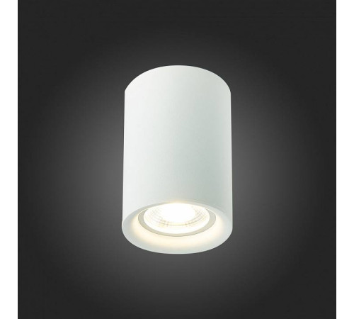 Накладной светильник ST-Luce ST114 ST114.507.01