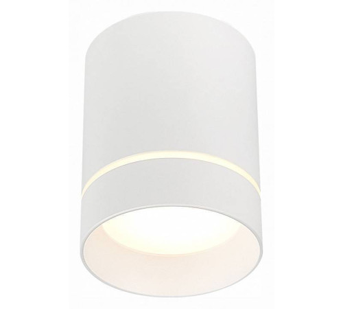 Накладной светильник ST-Luce ST115 ST115.532.07