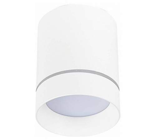 Накладной светильник ST-Luce ST115 ST115.532.12