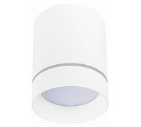 Накладной светильник ST-Luce ST115 ST115.542.12