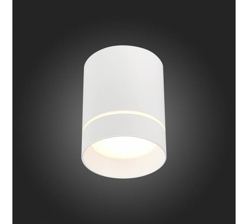 Накладной светильник ST-Luce ST115 ST115.542.12