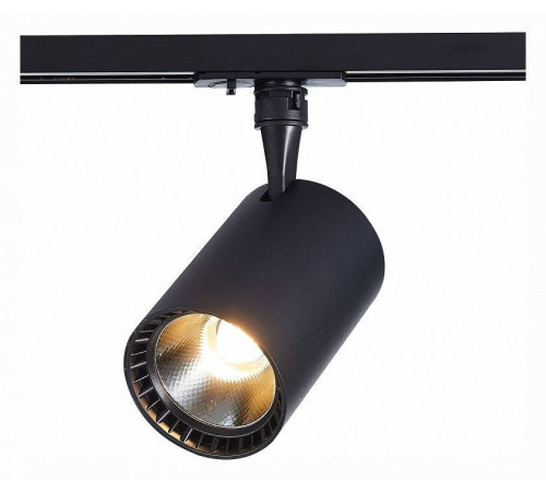 Светильник на штанге ST-Luce Cami ST351.446.20.36