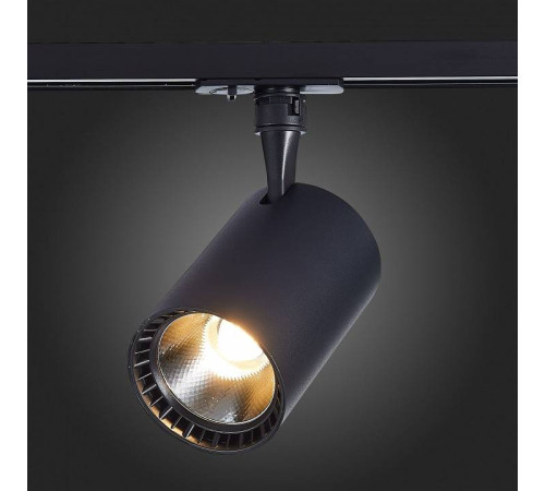 Светильник на штанге ST-Luce Cami ST351.446.20.36