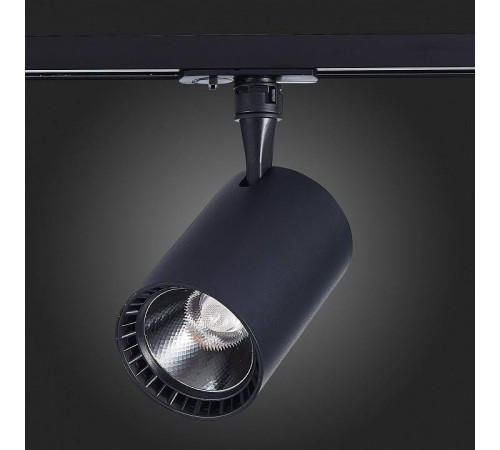 Светильник на штанге ST-Luce Cami ST351.446.20.36