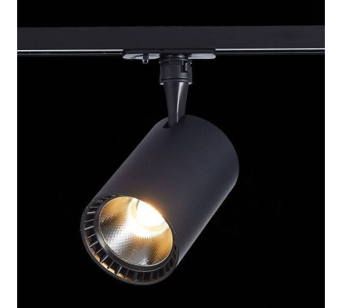 Светильник на штанге ST-Luce Cami ST351.446.20.36