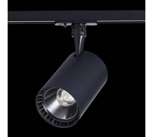 Светильник на штанге ST-Luce Cami ST351.446.20.36