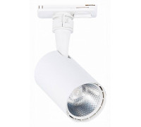 Светильник на штанге ST-Luce Cami ST351.536.10.24