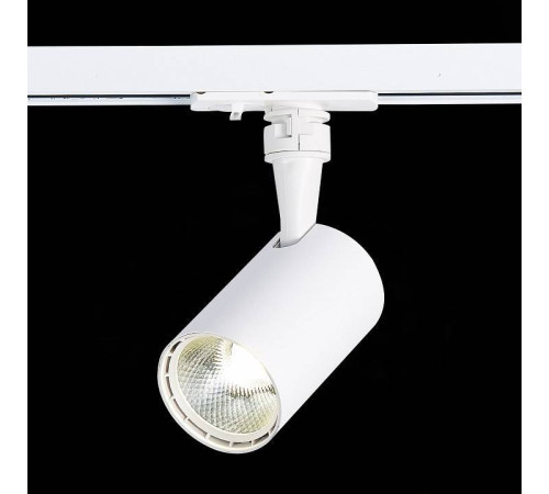 Светильник на штанге ST-Luce Cami ST351.536.10.24