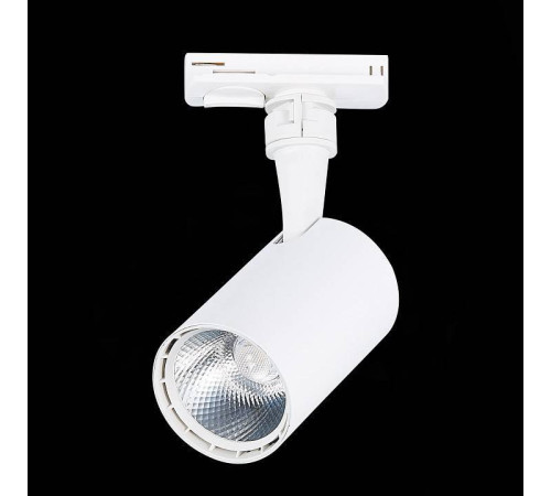 Светильник на штанге ST-Luce Cami ST351.536.10.24