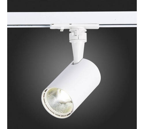 Светильник на штанге ST-Luce Cami ST351.536.10.24