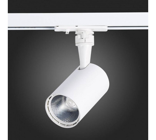 Светильник на штанге ST-Luce Cami ST351.536.10.24