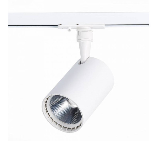 Светильник на штанге ST-Luce Cami ST351.536.15.24