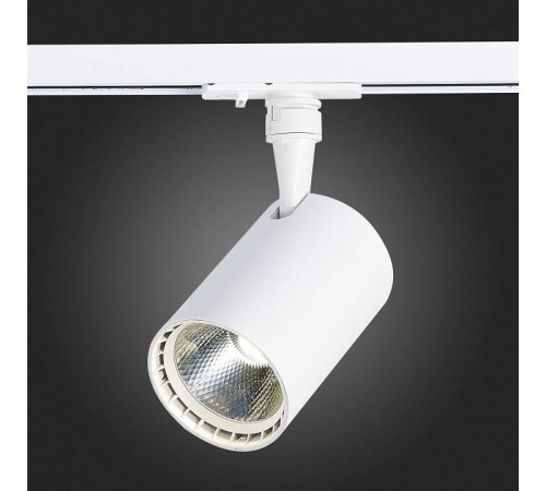 Светильник на штанге ST-Luce Cami ST351.536.15.24