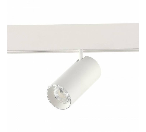 Светильник на штанге ST-Luce ST375 ST375.506.12