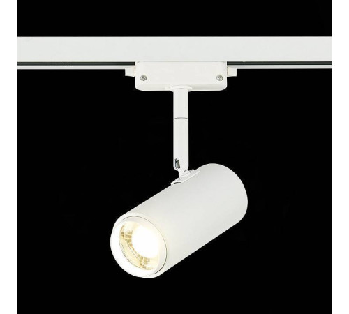 Светильник на штанге ST-Luce Zoom ST600.546.12