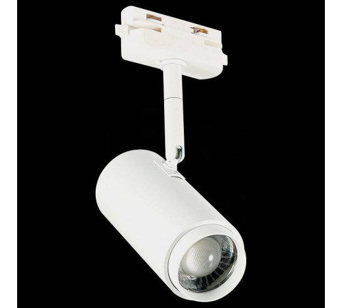 Светильник на штанге ST-Luce Zoom ST600.546.12