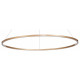 Подвесной светильник ST Luce ST605 DOWN LED 24 Вт ST605.243.46