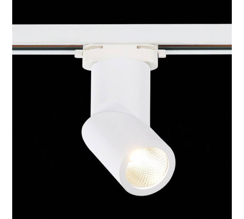 Светильник на штанге ST-Luce ST650 ST650.546.10