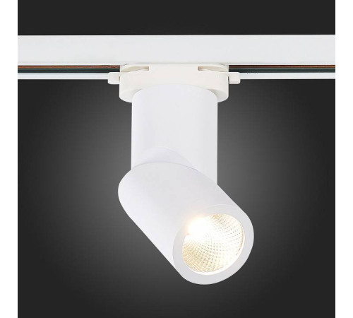 Светильник на штанге ST-Luce ST650 ST650.546.10