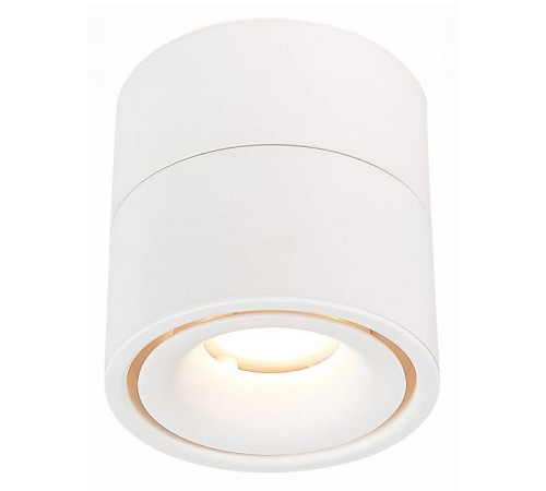 Светильник на штанге ST-Luce ST652 ST652.532.12