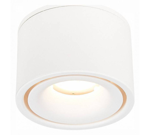 Встраиваемый светильник на штанге ST-Luce ST652 ST652.538.12