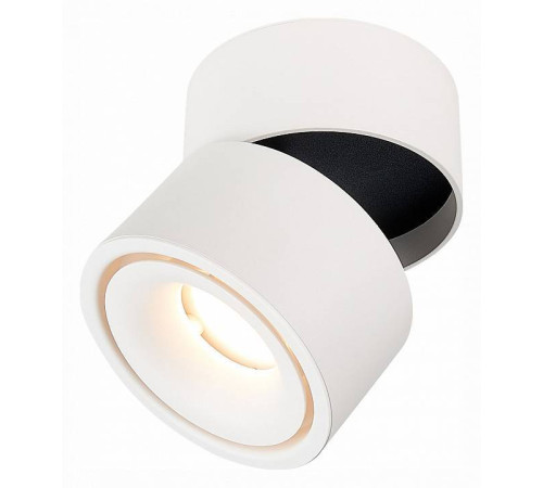 Светильник на штанге ST-Luce ST652 ST652.542.12