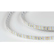 Лента светодиодная SWG PRO SWG2P196 SWG2P196-24-20-WW-20