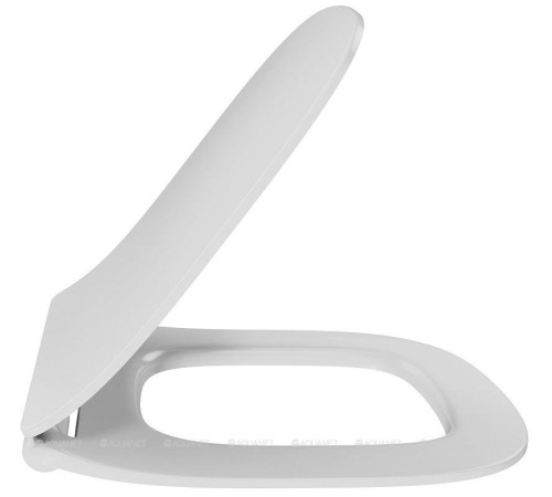 Комплект инсталляция Jacob Delafon с унитазом Struktura сиденьем и клавишей E21747RU-00