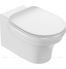 Унитаз подвесной Jacob Delafon Cleo 1889 безободковый без сиденья EDZ102-0