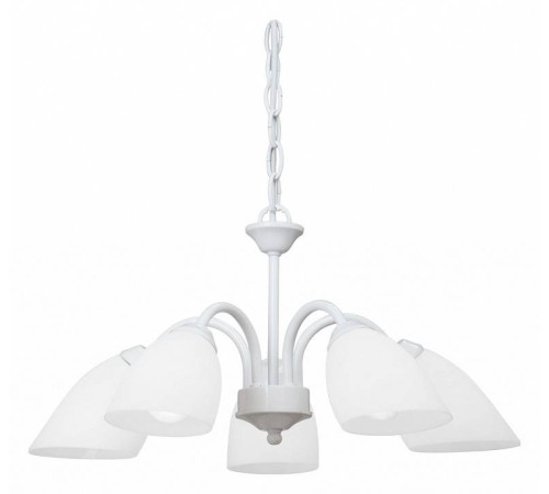 Подвесная люстра Vitaluce V3336 V3336/5