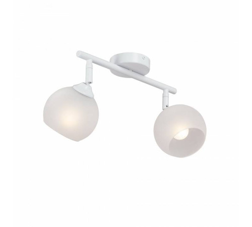 Спот Vitaluce 2 лампы V4313-0/2PL