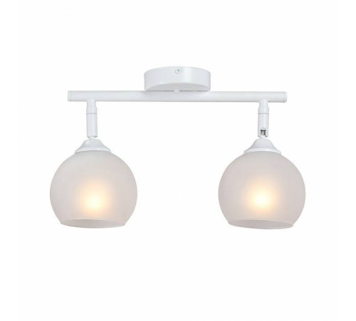 Спот Vitaluce 2 лампы V4313-0/2PL