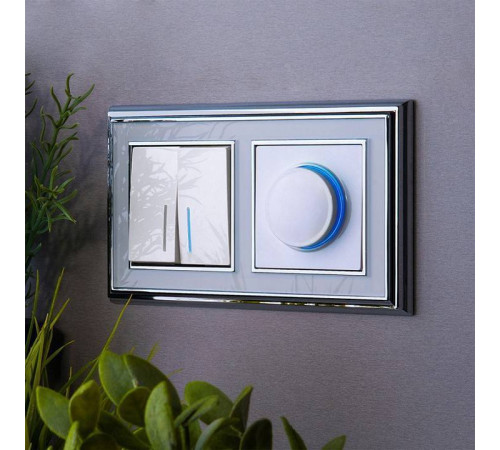 Диммер с подсветкой без рамки Werkel белый W1142101