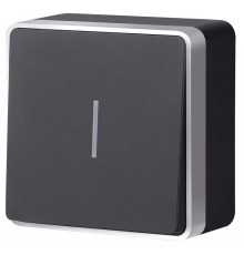 Выключатель одноклавишный с подсветкой Werkel Gallant (черный с серебром) W5010134