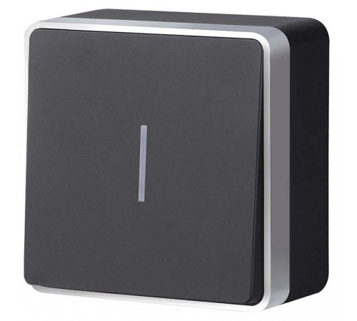 Выключатель одноклавишный с подсветкой Werkel Gallant (черный с серебром) W5010134