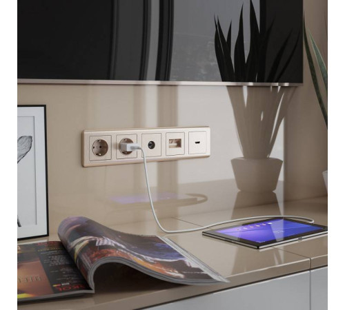 Накладка для розетки Ethernet RJ-45 Werkel шампань рифленый W1191110