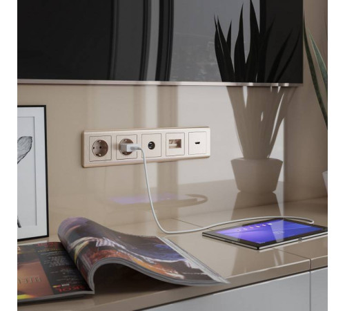 ТВ-розетка без рамки Werkel Шампань рифленый W1183010