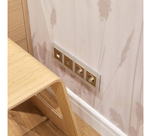 Накладка для розетки телефонной RJ-11 Werkel шампань рифленый W1192010