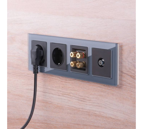 Розетка акустическая без рамки Werkel Черный матовый W1185008