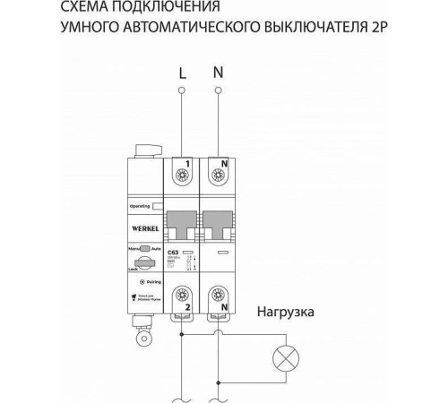 Автоматический выключатель 2P с Wi-Fi Werkel W1002P6301