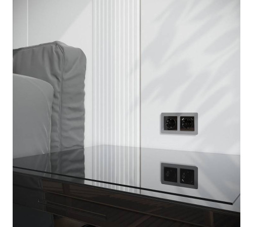 Накладка для розетки с заземлением и 2хUSB Werkel Черный акрил W1179548