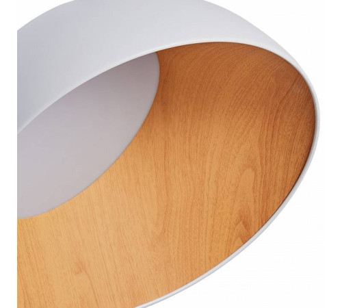 Накладной светильник Zortes Baum ZRS.01201.19