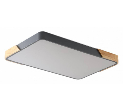 Накладной светильник Zortes ALBERRO ZRS.01277.60