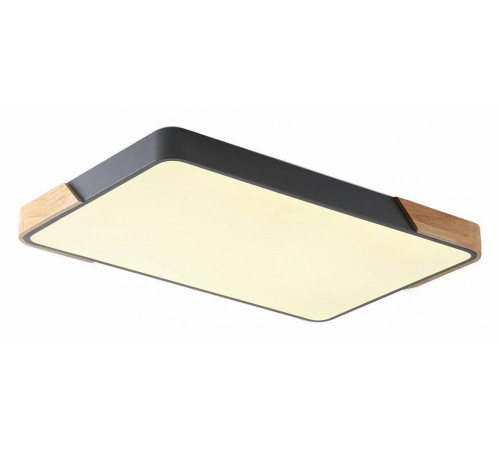 Накладной светильник Zortes ALBERRO ZRS.01277.60