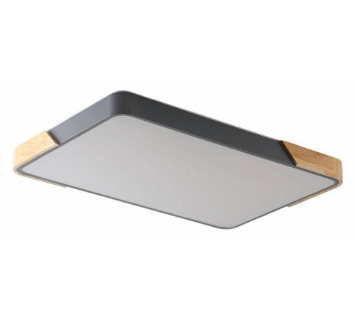 Накладной светильник Zortes ALBERRO ZRS.01277.60