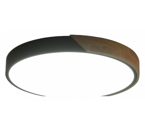 Накладной светильник Zortes ALBERRO ZRS.01280.90