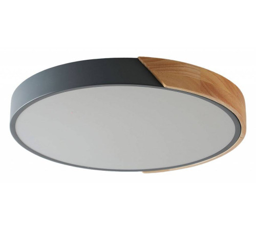 Накладной светильник Zortes ALBERRO ZRS.01280.90