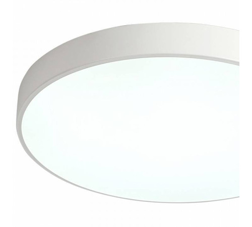 Накладной светильник Zortes Tortty ZRS.02564.96